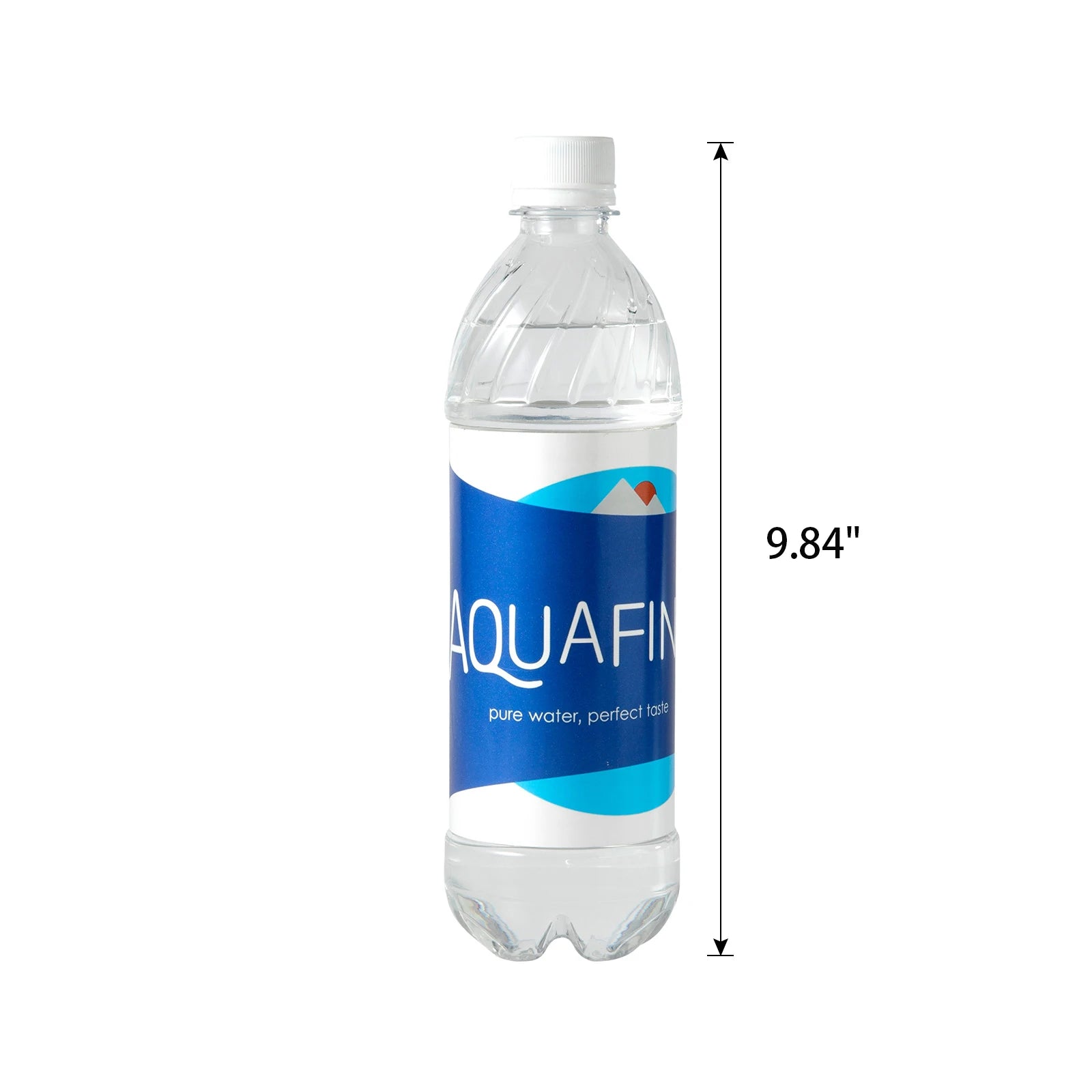 Aquafina Stash Bottle